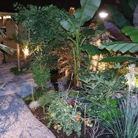 Kwatera prywatna Jungle In A Hidden Paradise Zwijndrecht