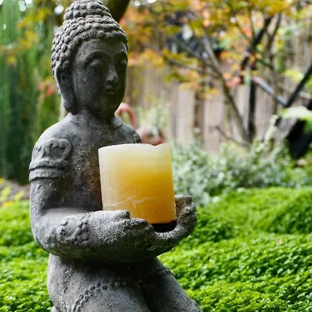 Jungle In A Hidden Paradise Kwatera prywatna Zwijndrecht