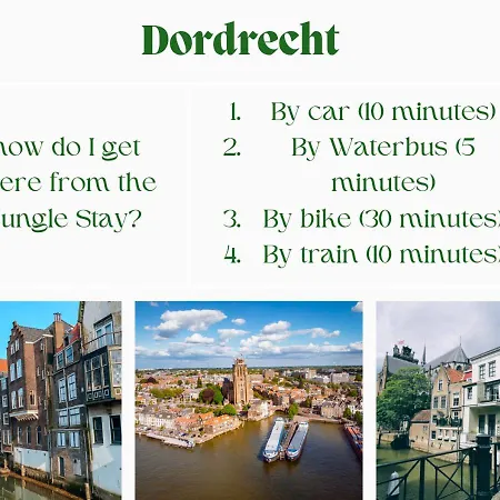 Jungle In A Hidden Paradise Kwatera prywatna Zwijndrecht